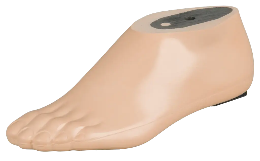 Pied SACH avec noyau en polymère (Aqua)