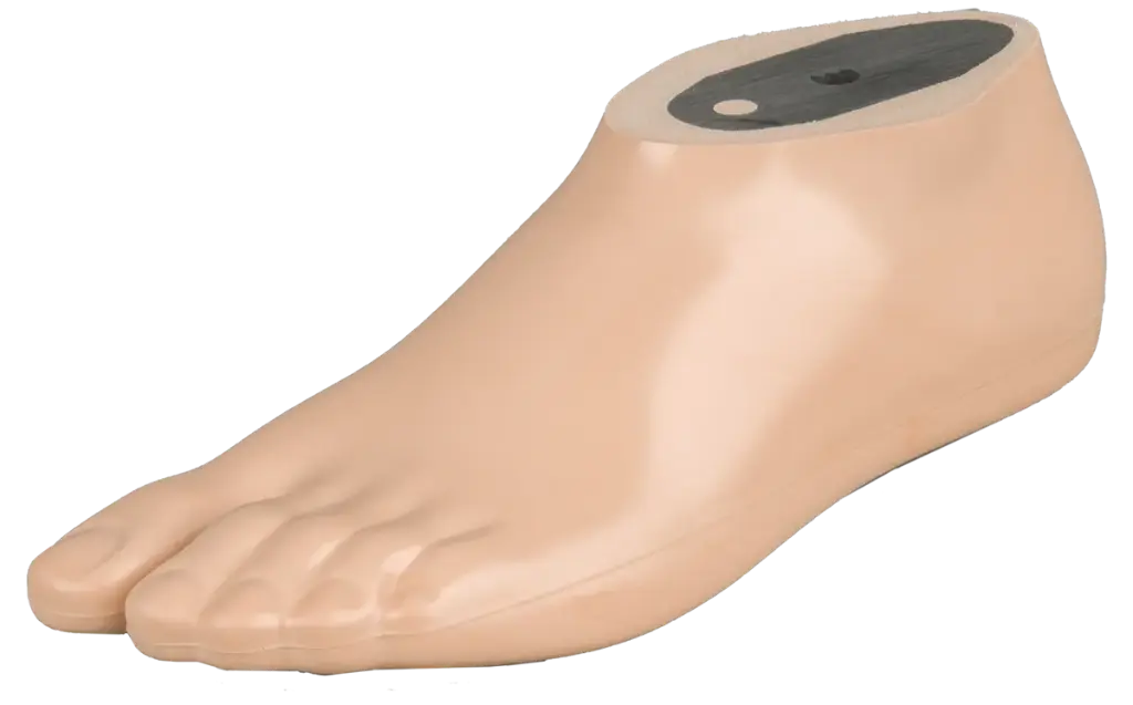 Pied SACH avec noyau en polymère-Orteil séparé (Aqua)