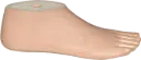 Pied SACH