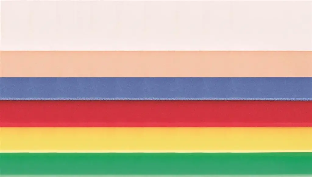 Mousse Colorée (CHAIR) - 2100 x 1050 x 5 mm (la plaque)