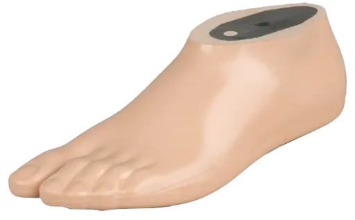 Pied SACH avec noyau en polymère-Orteil séparé (Aqua)